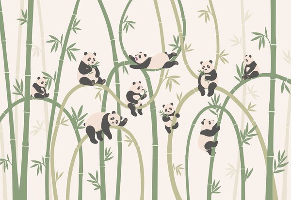 Carta da parati Gruppo di panda su un bambù, Carta da parati animali, Carta da parati popolare, t00963v2 - Tapeko.it