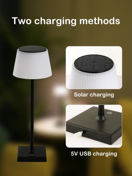 Immax 08492L - Lampada solare da esterno dimmergibile LED/4W/5V IP44