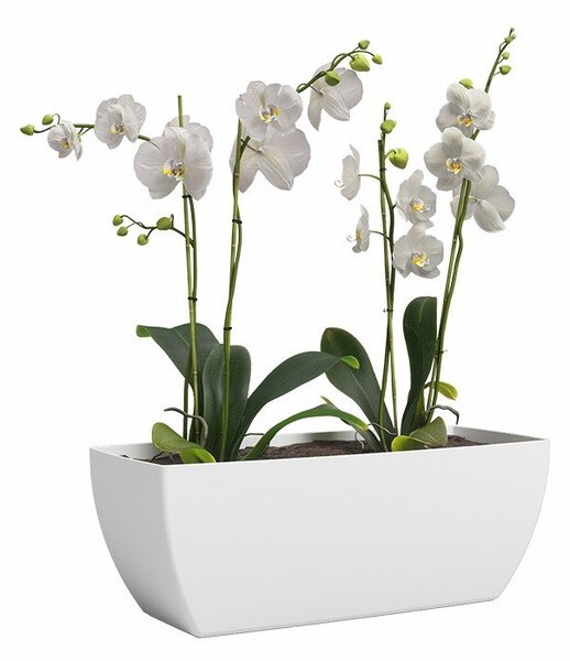 Fioriera in plastica riciclata 30 cm Siena – Artevasi
