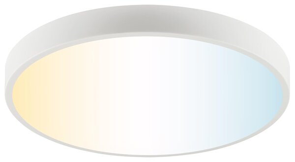 Plafoniera LED brillante Slimline Ø 49 x 8 cm bianco caldo-bianco freddo
