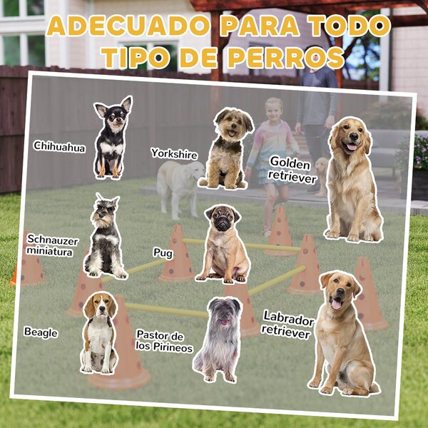 PawHut Agilità per Cani con 8 Coni 8 e Barre, per Ostacolo Allenamento di Coordinazione, 80x22.5X30 cm, Arancione | Aosom Italy