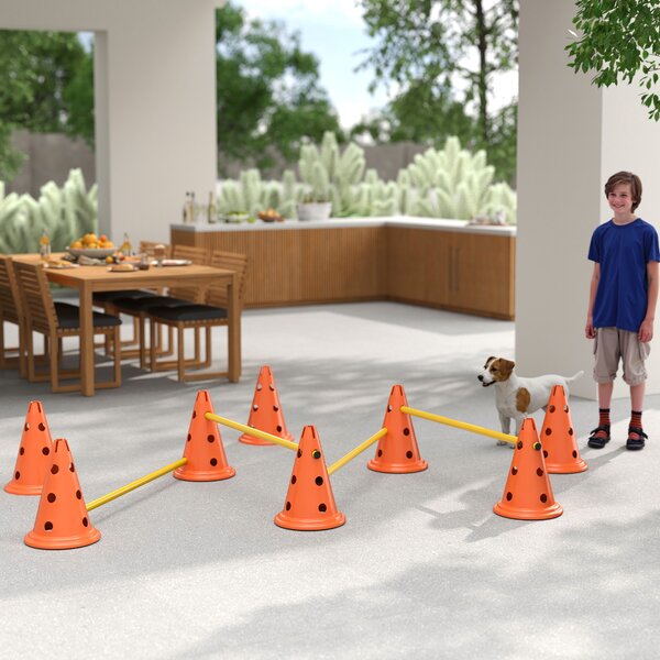 PawHut Agilità per Cani con 8 Coni 8 e Barre, per Ostacolo Allenamento di Coordinazione, 80x22.5X30 cm, Arancione | Aosom Italy
