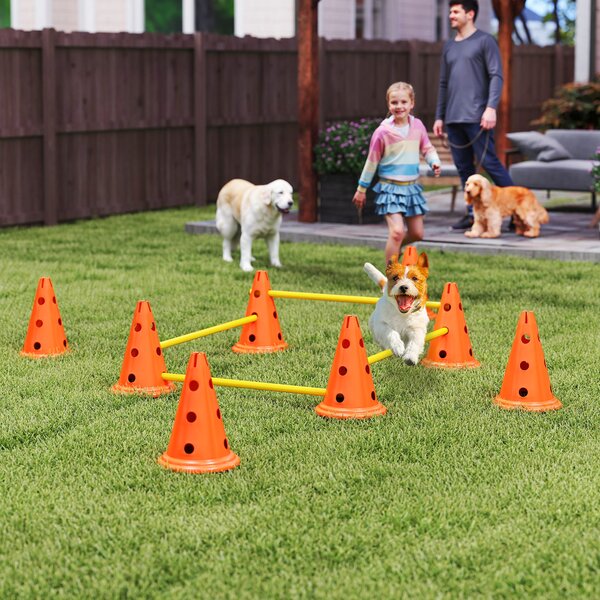PawHut Agilità per Cani con 8 Coni 8 e Barre, per Ostacolo Allenamento di Coordinazione, 80x22.5X30 cm, Arancione | Aosom Italy