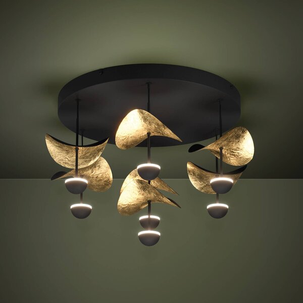 Stars of Light Plafoniera soffitto Dracera, dimmerabile, Nero, Soggiorno / Sala da pranzo, Metallo, Moderno, Plafoniera