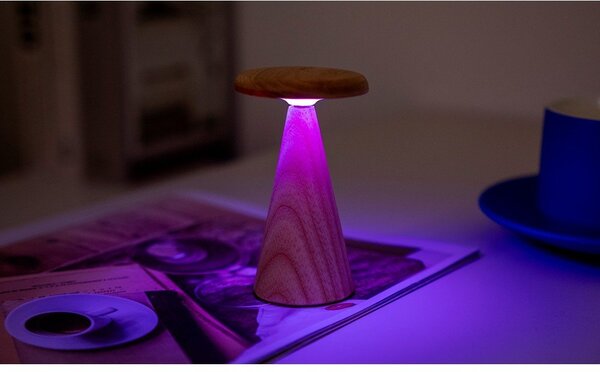 Lampada da tavolo LED di colore naturale con paralume in legno (altezza totale 14 cm) Sylva – Gingko
