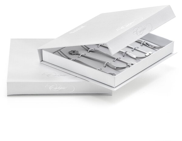 Set di Forchettine Party 6 Pezzi in Acciaio Eme Cadeau