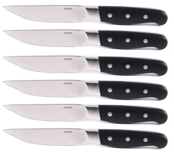 Set 6 Coltelli da Bistecca Lama Seghettata Manico in Legno Aconcagua
