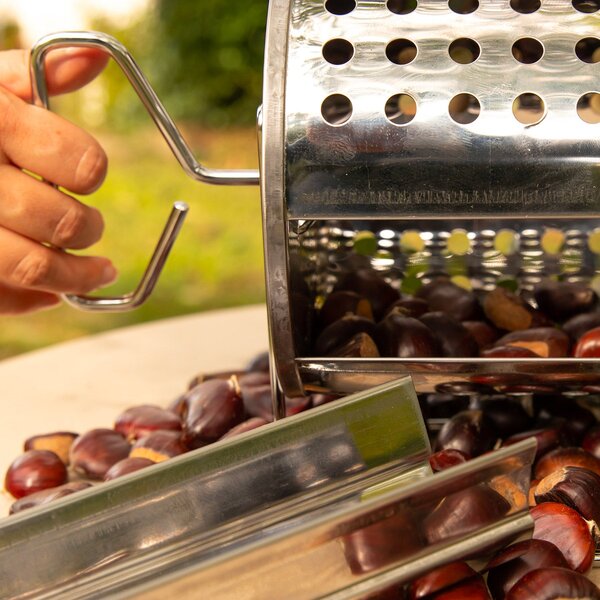 Tostacastagne Caldarroste a Batteria 42x20x21cm in Acciaio Inox