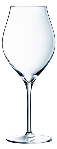 Set 6 calici Exaltation in vetro sonoro superiore trasparente cl 38