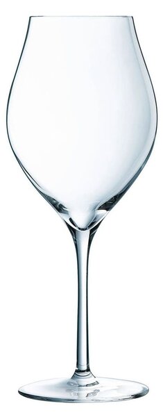Set 6 calici Exaltation in vetro sonoro superiore trasparente cl 47