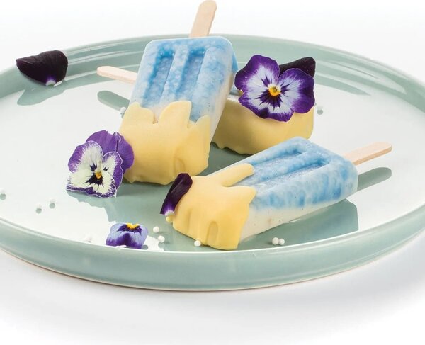 Stampo da 4 gelati GEL10M Mini Vintage in silicone mm 70x37x18h