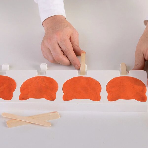 Kit 2 stampi da 4 gelati GEL08 Cat in silicone mm 89x82x22h