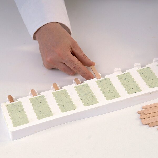 Kit 2 stampi da 8 gelati GEL05M Mini Chic in silicone mm 69x38x18h