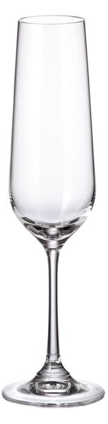 6 calici flute Reserve Bohemia in vetro sonoro trasparente cl 20