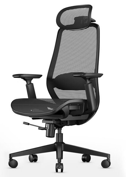 Sedia da ufficio ergonomica con struttura a rete e braccioli regolabili in 4 direzioni, colore nero