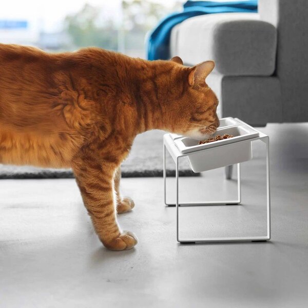 Set di ciotole con supporto in ceramica per animali domestici Nooks – YAMAZAKI