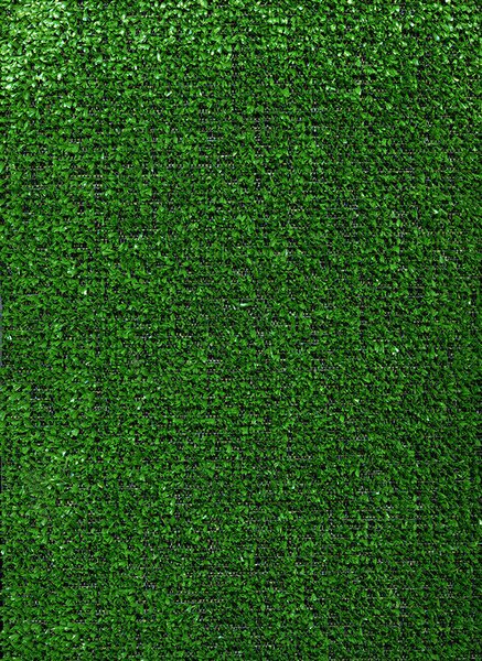 Erba Sintetica per Giardino 1x3m Bauer Verde
