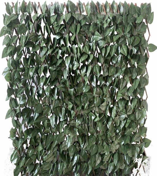 Arella Frangivista Estensibile 1x2m in Salice con Foglie di Lauro Garden Friend