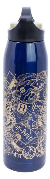 Thermos da bambini blu scuro in acciaio inox 665 ml Harry Potter – STOR