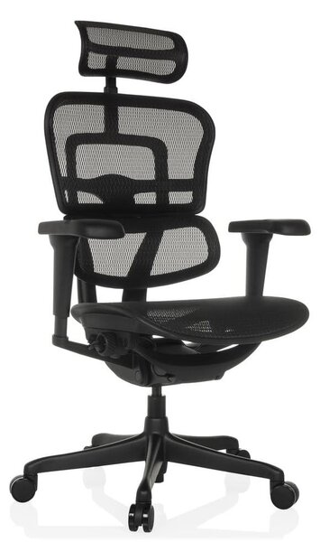 Sedia da ufficio ergonomica con supporto lombare, realizzata in rete, colore nero