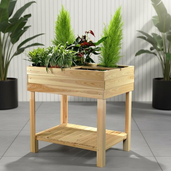 Mucola letto rialzato tavolo da giardino in legno con 4 scomparti portafiori fioriera serra serra fredda letto per erbe serra