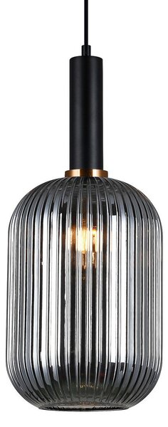 Lampada a sospensione Antiola PND-5588-1L-BK+SG Italux