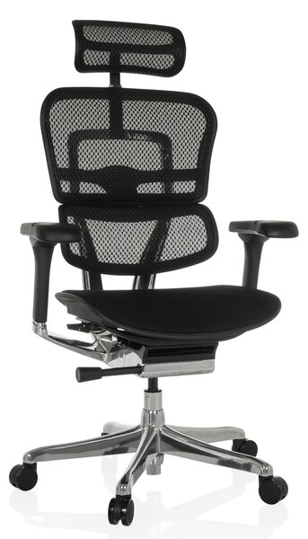 Sedia da ufficio Ergohuman con supporto lombare, schienale a rete, colore nero