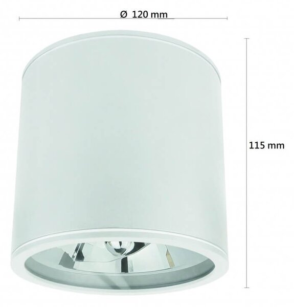 Applique da soffitto IP65 - Bianca Colore del corpo Bianco