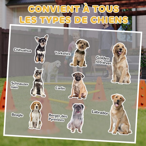 PawHut Set di Agilità per Cani 6 Pezzi, Percorso a ostacoli ad altezza regolabile con borsa per il trasporto, Arancione | Aosom Italy