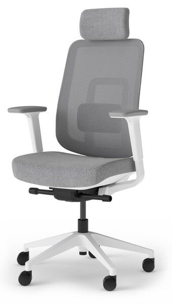 Sedia da ufficio ergonomica con braccioli regolabili in 4 direzioni, schienale in rete, poggiatesta, colore grigio