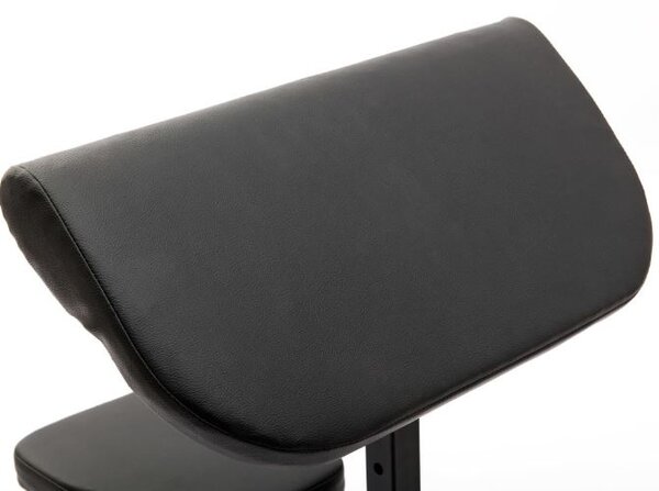 Arm Curl Bench panca per bicipiti 2.0