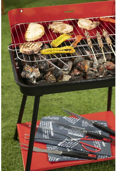Barbecue a Carbone Carbonella Rettangolare 58x38x82 cm con Vassoio in Acciaio al Carbonio Rosso