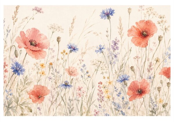 Quadro su tela – Fiori di campo con papaveri