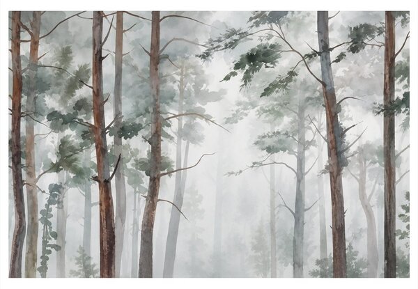 Quadro su tela – Foresta di pini nella nebbia