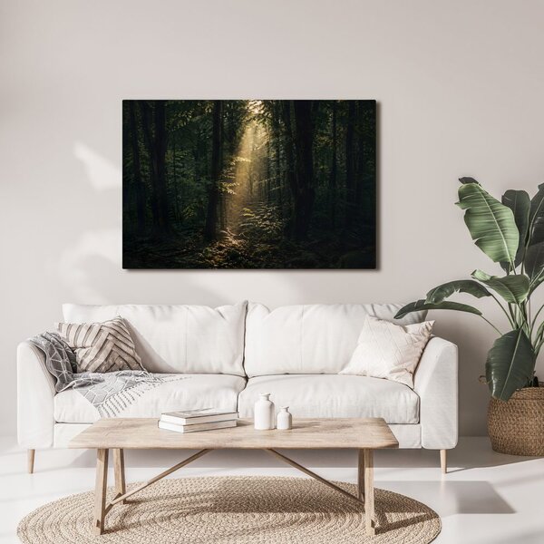 Quadro su tela – Luce del bosco tra gli alberi