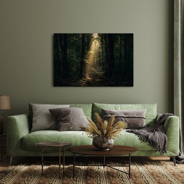 Quadro su tela – Luce del bosco tra gli alberi