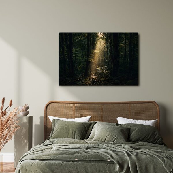 Quadro su tela – Luce del bosco tra gli alberi