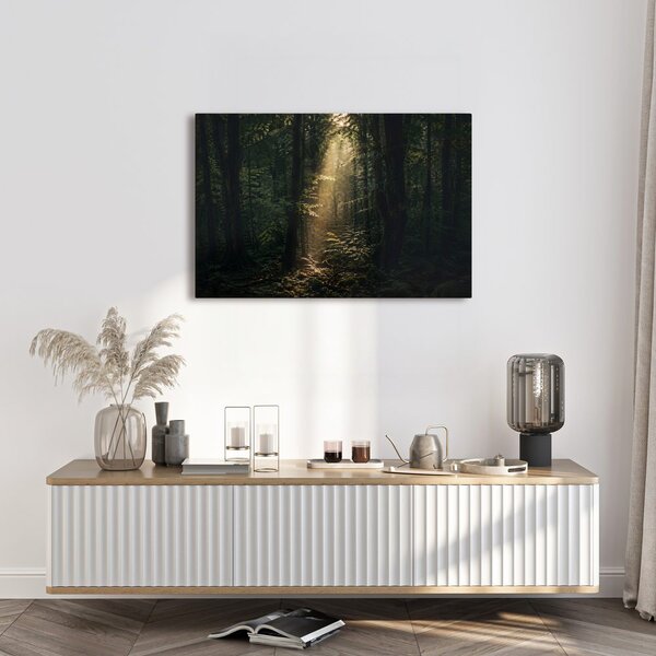 Quadro su tela – Luce del bosco tra gli alberi