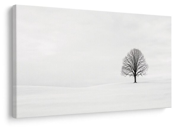 Quadro su tela – Albero della vita in inverno