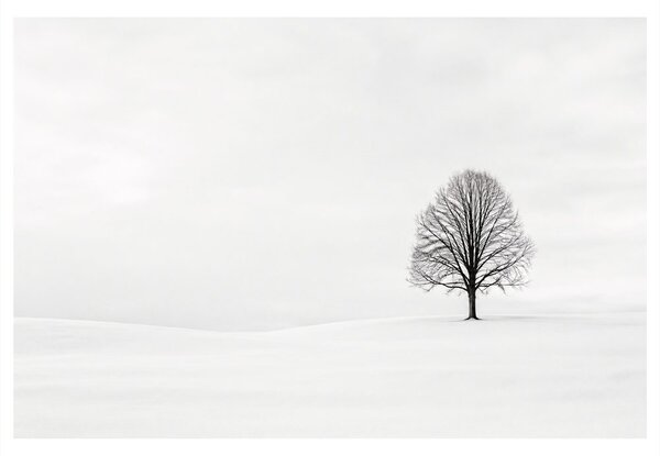 Quadro su tela – Albero della vita in inverno