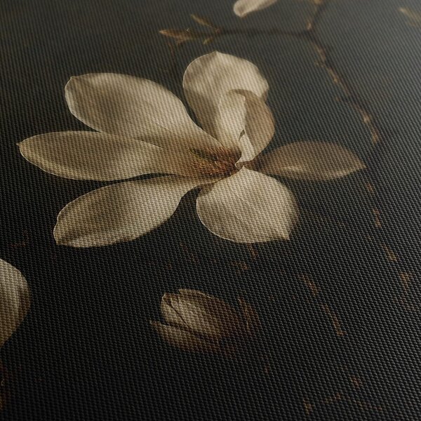 Quadro su tela – Fiori di magnolia color crema nella notte