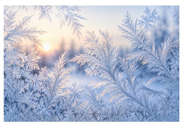 Quadro su tela – Fiori di ghiaccio del mattino invernale