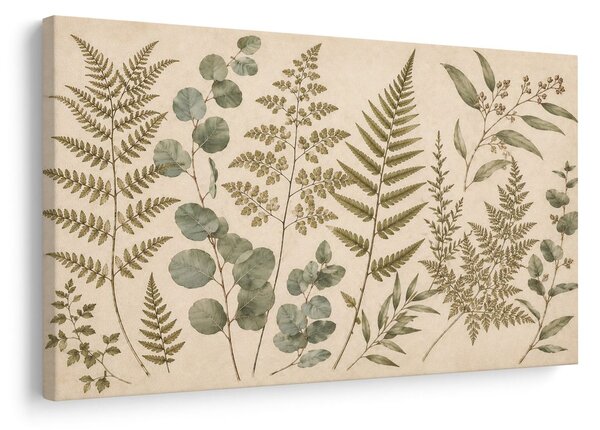 Quadro su tela – Delicata composizione botanica di felci