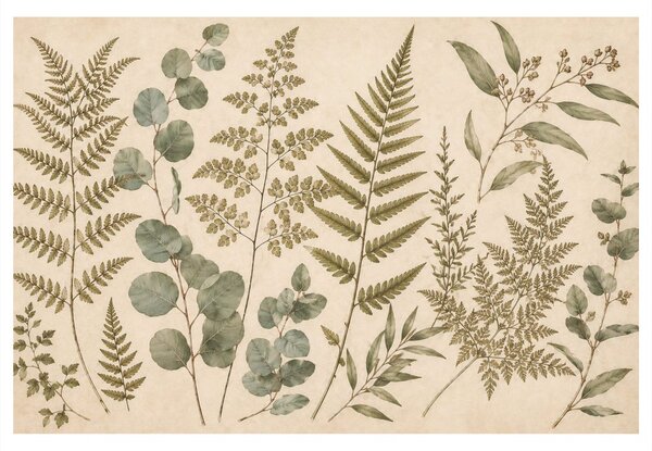 Quadro su tela – Delicata composizione botanica di felci