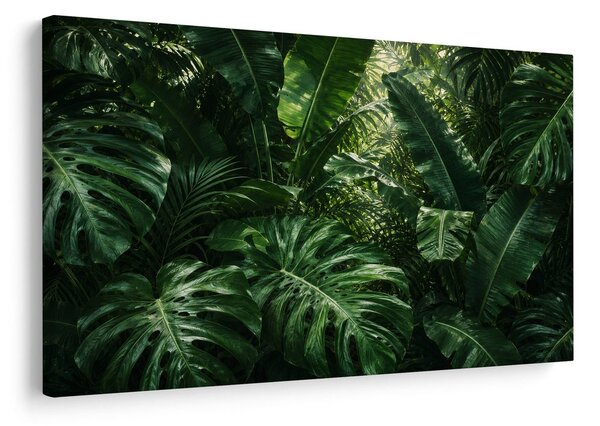 Quadro su tela – Foglie tropicali nella giungla