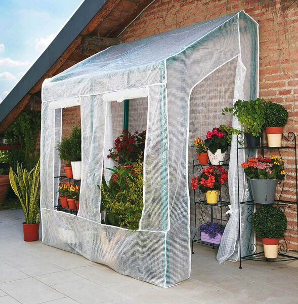 Serra da Giardino a Parete in PVC con Telo Rama Lobelia Verde