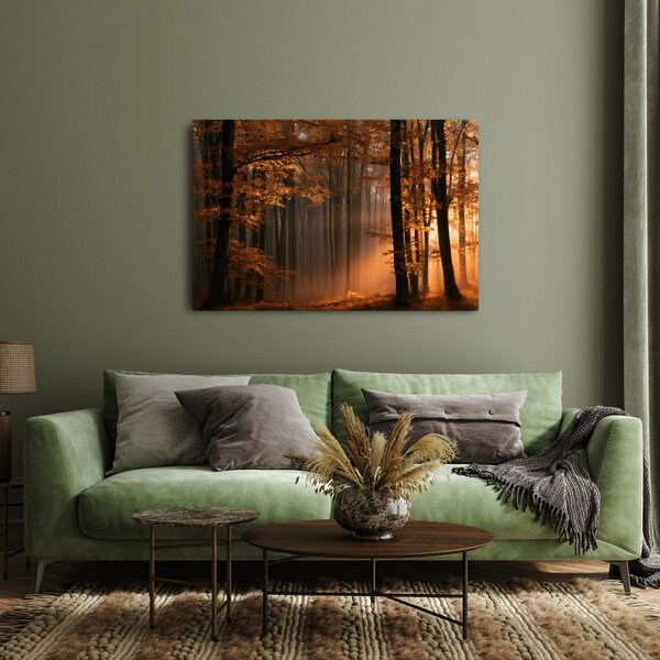 Quadro su tela – Luce dorata nel bosco