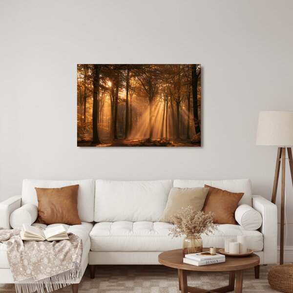 Quadro su tela – Raggi dorati nel bosco
