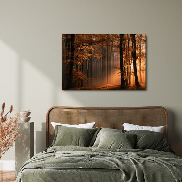 Quadro su tela – Luce dorata nel bosco