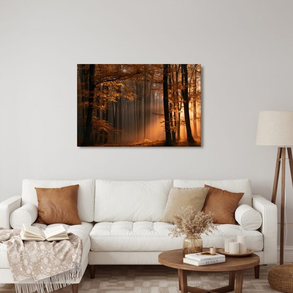 Quadro su tela – Luce dorata nel bosco